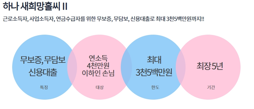 새희망홀씨 대출 조건 비교 분석 2