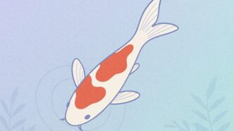 이더리움 코하쿠, 당신의 거래를 투명인간으로? 프라이버시 혁명의 모든 것 43