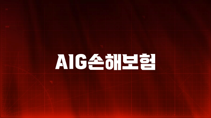 AIG손해보험