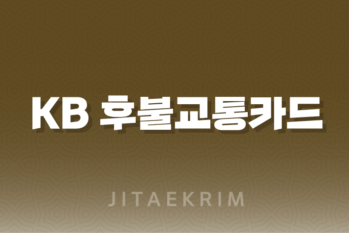 KB 후불교통카드 연체 납부 및 사용내역 확인 가이드 1