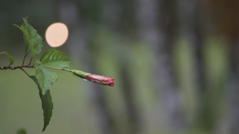 리비안(RIVN), 전기차 생산량 목표 달성 여부와 아마존 배송차 독점 계약의 핵심 포인트 2 rivian-edv - 도심에서 배송 중인 아마존 전용 리비안 전기 배송차