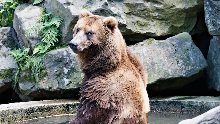 코인베이스(COIN) 주가, 비트코인 가격 연동성 심층 분석과 거래 수수료 수익 구조의 모든 것 3 하락하는 주식 시장 그래프