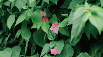 삼성바이오로직스 5공장 증설, 위탁생산(CMO) 초격차 전략의 핵심과 미래 전망 19