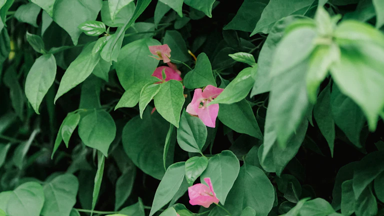 삼성바이오로직스 공장 외관