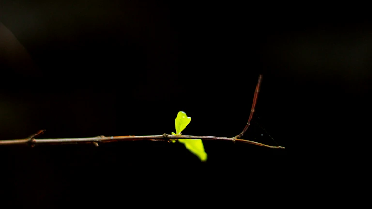 블로그 방문자 수가 상승하는 그래프