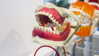 승인받은 후기 (2026년) 11