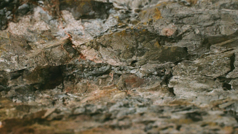 보증금 회수 절차