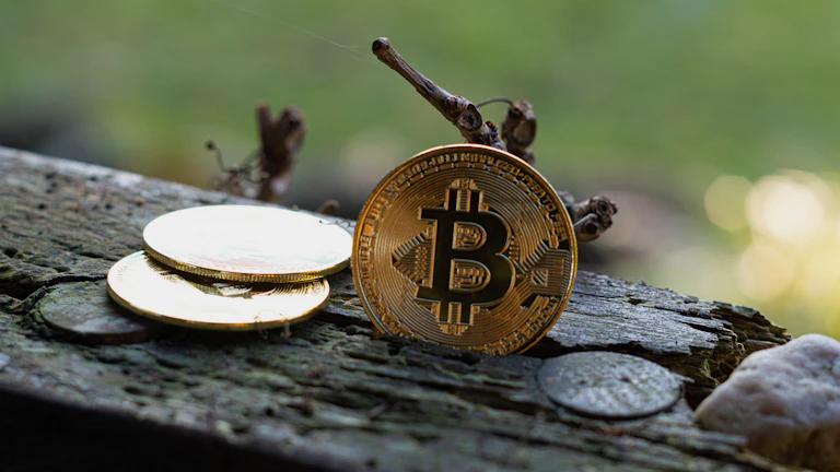 디지털 자산 투자 전략