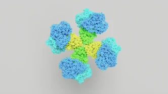 한미약품 비만 치료제 개발, '한국형 위고비' 출시 가능성과 미래 전망 1