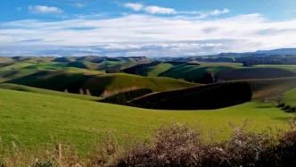 토지 보상금 절세 전략으로 세금 안 내는 비결 (2026년) 5