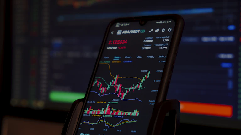 금융 시장 차트를 분석하는 모습