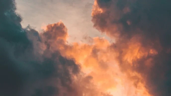 2026년 주택 화재보험 비교 가입 꿀팁 31