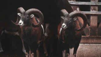 구글 제미나이 어드밴스드 구독, 2TB 용량과 AI 기능으로 당신의 디지털 생활을 혁신하세요! 1