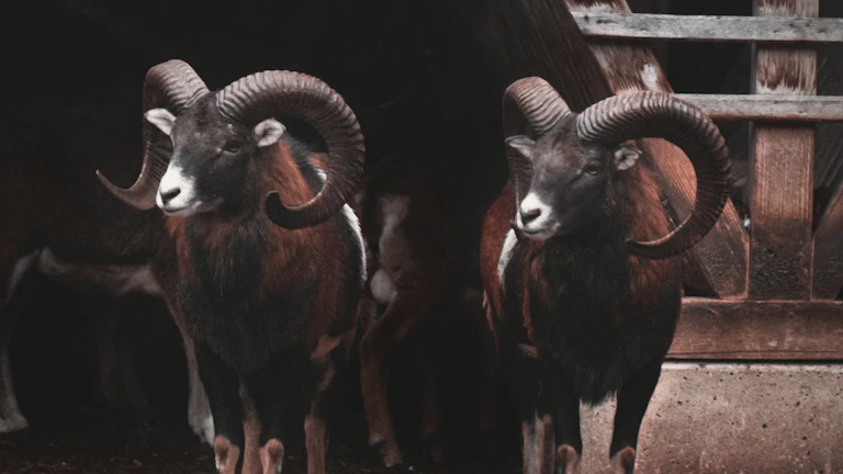 구글 제미나이 어드밴스드 구독, 2TB 용량과 AI 기능으로 당신의 디지털 생활을 혁신하세요! 33