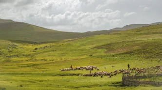 나대지 임야 최대한도 승인받고 금리 낮춘 실제 후기 (2026년) 15