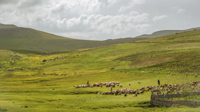 나대지 임야 최대한도 승인받고 금리 낮춘 실제 후기 (2026년) 3