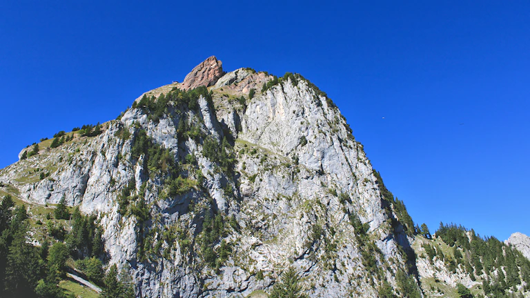 산길을 걷는 등산객 그룹