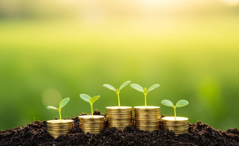 파산 면책 후 신용점수 회복 기간 5년의 기다림 끝에 찾아오는 새로운 시작과 효과적인 신용 관리 전략 41