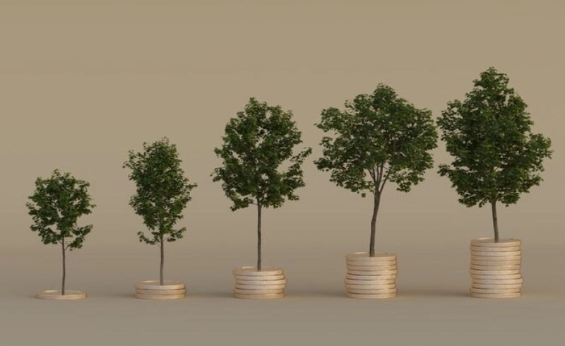 주식 액면분할 효과, 삼성전자 사례로 본 투자 가치와 장단점 완벽 분석 4 동전 더미 위에 자라나는 식물