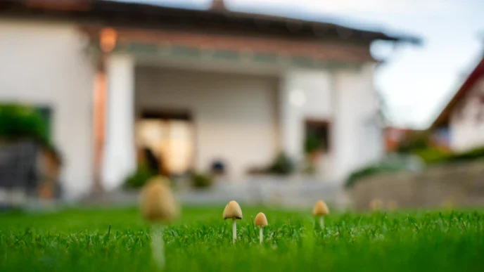 월 300만원 받는 방법, 연금 수령액 계산기 3