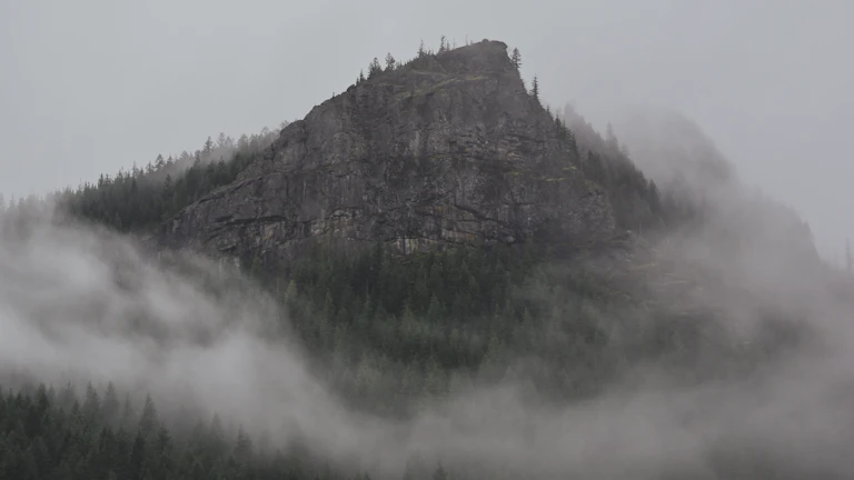 산 정상에서 포즈를 취하는 호스트와 등산객들