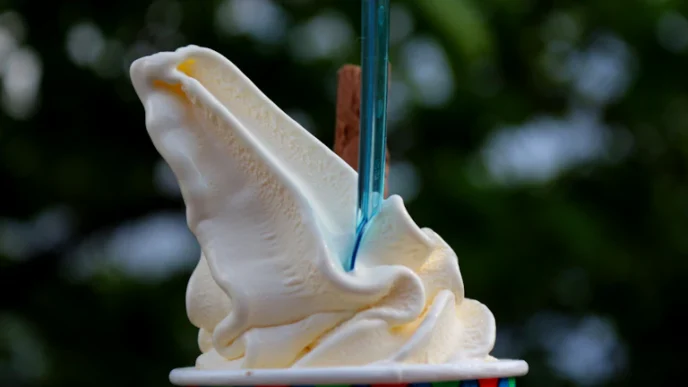 무인 아이스크림 할인점, 폐업률의 진실: 절도 로스율과 전기세 부담, 무엇이 문제일까? 35