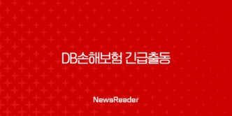 DB손해보험 긴급출동 서비스 전화번호 및 이용 꿀팁 총정리 17