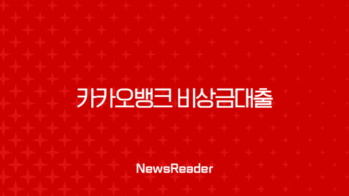 카카오뱅크 비상금대출 거절 사유와 해결 방법 총정리 (ft. 신용등급, 기대출) 15
