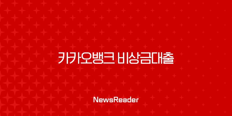 카카오뱅크 비상금대출 거절 사유와 해결 방법 총정리 (ft. 신용등급, 기대출) 33