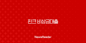 핀크 비상금대출 후기 솔직한 자격 조건 및 연장 방법 총정리 5