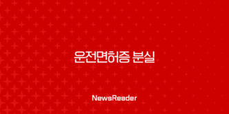 운전면허증 분실 해외여행 렌터카 국제운전면허증 재발급 대처법 총정리 9
