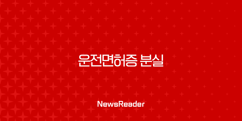 운전면허증 분실 해외여행 렌터카 국제운전면허증 재발급 대처법 총정리 1