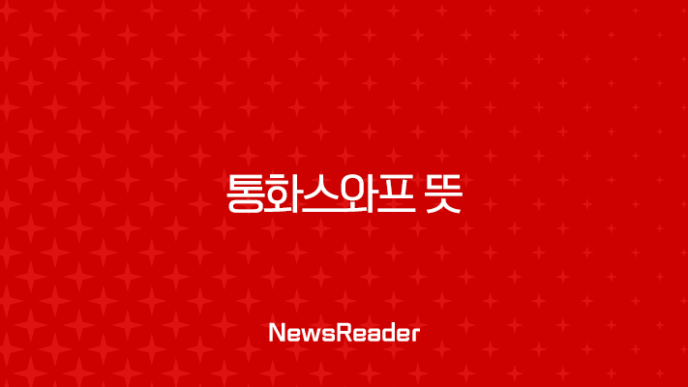 통화스와프 뜻, 한미 통화스와프가 중요한 이유와 최근 거절 논란 총정리 7