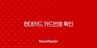 현대카드 카드번호 확인, 앱으로 유효기간까지 24시간 간편 조회 방법 33