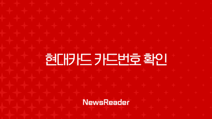 현대카드 카드번호 확인, 앱으로 유효기간까지 24시간 간편 조회 방법 35