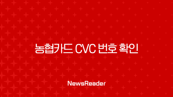 농협카드 CVC 번호 확인 방법 총정리 (CVV 오류 및 분실 시 대처법) 15