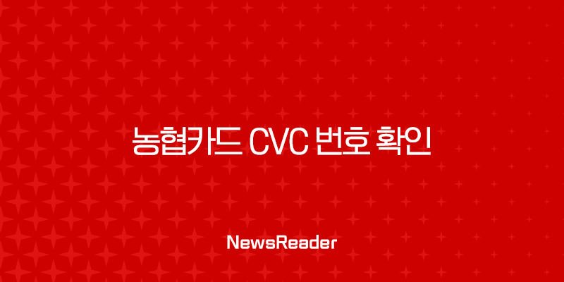 농협카드 CVC 번호 확인 방법 총정리 (CVV 오류 및 분실 시 대처법) 29