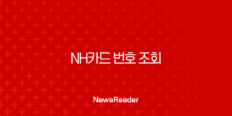 NH카드 번호 조회 빠른 확인 방법과 유효기간 체크 17