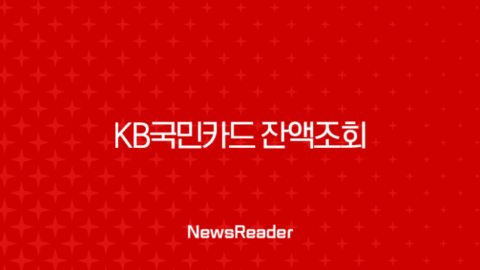KB국민카드 잔액조회 4가지 방법 (KB Pay 앱, 홈페이지, 고객센터, 어카운트인포) 완벽정리 11