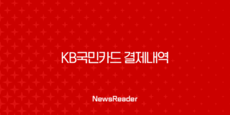 KB국민카드 결제내역 출력 저장 완벽 가이드 (PC, 모바일) 61