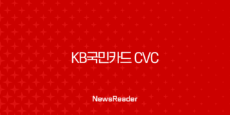 KB국민카드 CVC 번호 완벽 가이드 | KB Pay 앱 확인부터 분실, 재발급까지 49