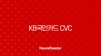 KB국민카드 CVC 번호 완벽 가이드 | KB Pay 앱 확인부터 분실, 재발급까지 51