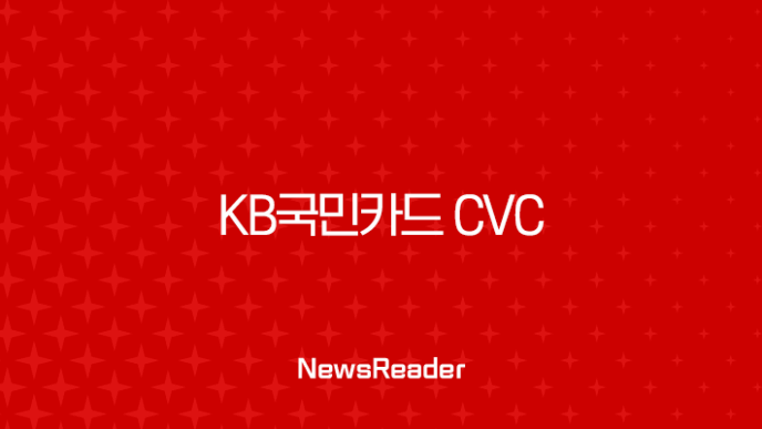 KB국민카드 CVC 번호 완벽 가이드 | KB Pay 앱 확인부터 분실, 재발급까지 23