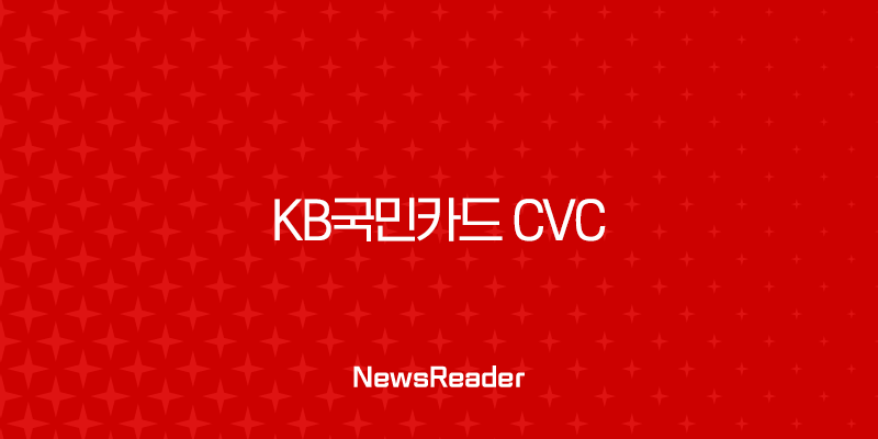 KB국민카드 CVC 번호 완벽 가이드 | KB Pay 앱 확인부터 분실, 재발급까지 125