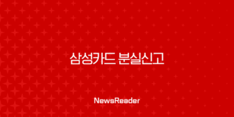 삼성카드 분실신고 및 해제 방법, 재발급 전 꼭 확인해야 할 필수 정보 총정리 13