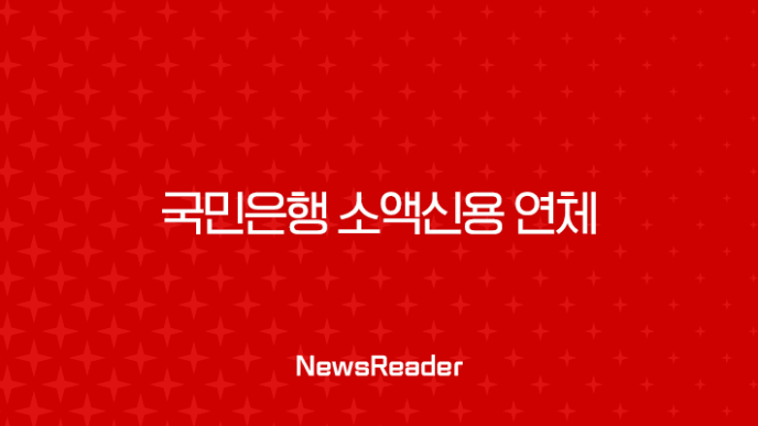 국민은행 소액신용 연체, 30만 원이 불러오는 신용 위기? 해결 방법 총정리 11
