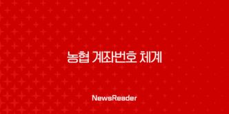 농협 계좌번호 체계 완벽 분석 (자릿수, 은행 코드, 확인 방법) 5