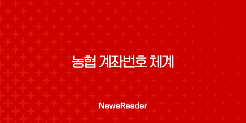 농협 계좌번호 체계 완벽 분석 (자릿수, 은행 코드, 확인 방법) 35