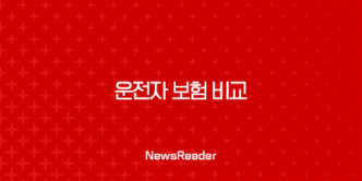 2025년 운전자 보험 비교 : 꼼꼼하게 따져보고 최적의 상품 선택하기 - 뽐뿌, 클리앙, 디시 후기 총정리 31