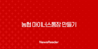 농협 마이너스통장 만들기 쉬운곳, 비대면 한도증액, 필요서류(2024년) 25